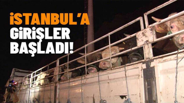 Kurbanlıkların İstanbul’a girişi başlıyor