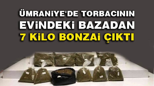 Ümraniye’de torbacının evindeki bazadan 7 kilo bonzai çıktı 